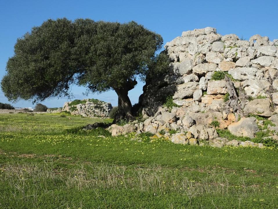 Hotel Boutique Ses 5 Claus Ciutadella (Menorca) Exterior foto